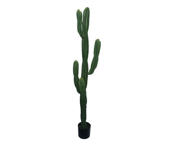 Διακοσμητικό φυτό Cactus I σε γλάστρα Inart πράσινο pp Υ155εκ - ΤΕΧΝΗΤΑ ΦΥΤΑ στο Milonadakis.gr