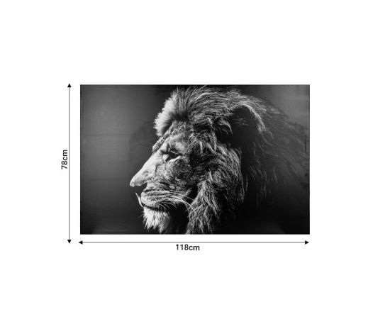 Πίνακας σε καμβά με πλαίσιο Lionner pakoworld mdf 118x3x78εκ - ΠΙΝΑΚΕΣ στο Milonadakis.gr