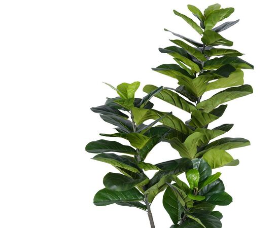 Διακοσμητικό φυτό Fiddlehead I σε γλάστρα Inart πράσινο pp Υ180εκ - ΤΕΧΝΗΤΑ ΦΥΤΑ στο Milonadakis.gr