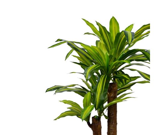 Διακοσμητικό φυτό  Dracaena σε γλάστρα Inart πράσινο pp Υ110εκ - ΤΕΧΝΗΤΑ ΦΥΤΑ στο Milonadakis.gr