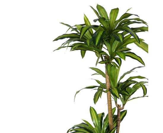 Διακοσμητικό φυτό Dracaena I σε γλάστρα Inart  πράσινο pp Υ170εκ - ΤΕΧΝΗΤΑ ΦΥΤΑ στο Milonadakis.gr