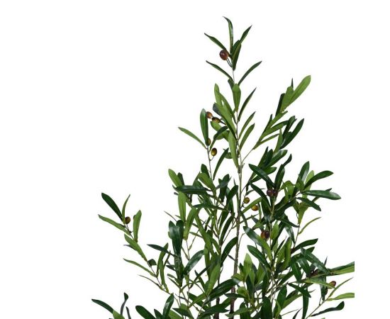 Διακοσμητικό φυτό Olive tree σε γλάστρα Inart πράσινο pp Υ120εκ - ΤΕΧΝΗΤΑ ΦΥΤΑ στο Milonadakis.gr