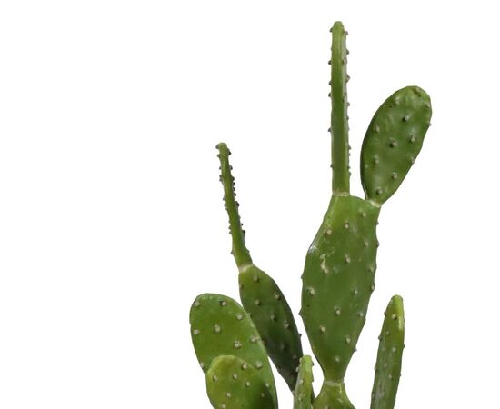 Διακοσμητικό φυτό Cactus σε γλάστρα Inart πράσινο pp Υ64εκ - ΤΕΧΝΗΤΑ ΦΥΤΑ στο Milonadakis.gr