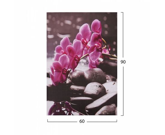 ΠΙΝΑΚΑΣ ΚΑΜΒΑΣ PINK ORCHID HM7154.12 60X90X2.5 εκ. - ΠΙΝΑΚΕΣ στο Milonadakis.gr