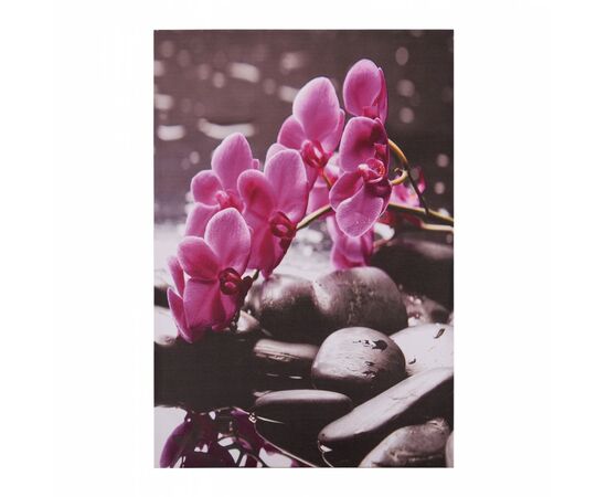 ΠΙΝΑΚΑΣ ΚΑΜΒΑΣ PINK ORCHID HM7154.12 60X90X2.5 εκ. - ΠΙΝΑΚΕΣ στο Milonadakis.gr