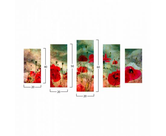 ΠΙΝΑΚΑΣ ΠΕΝΤΑΠΤΥΧΟ MDF POPPY FIELD HM7206.03 100X0,3X60 εκ. - ΠΙΝΑΚΕΣ στο Milonadakis.gr