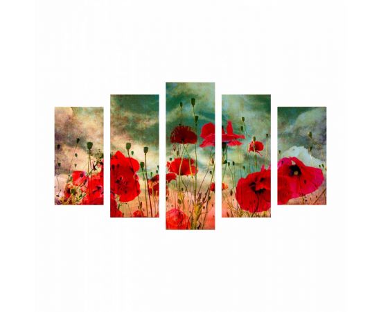 ΠΙΝΑΚΑΣ ΠΕΝΤΑΠΤΥΧΟ MDF POPPY FIELD HM7206.03 100X0,3X60 εκ. - ΠΙΝΑΚΕΣ στο Milonadakis.gr