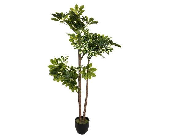 Φυτό σε γλάστρα Green6 pakoworld 70x65x135εκ - ΤΕΧΝΗΤΑ ΦΥΤΑ στο Milonadakis.gr