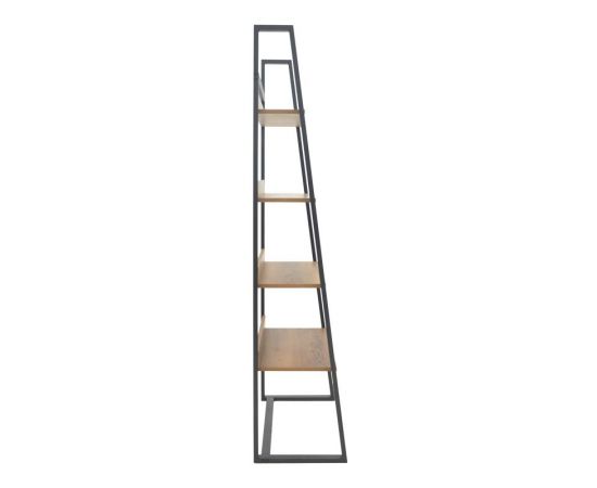 Βιβλιοθήκη Ryder pakoworld καρυδί-μαύρο 75x36x185εκ - ΒΙΒΛΙΟΘΗΚΕΣ στο Milonadakis.gr