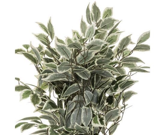 Φυτό σε γλάστρα Green19 pakoworld Φ50x120εκ - ΤΕΧΝΗΤΑ ΦΥΤΑ στο Milonadakis.gr