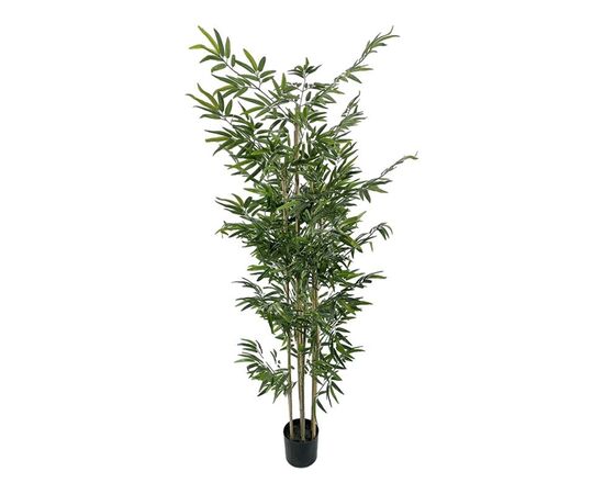 Διακοσμητικό φυτό Bamboo σε γλάστρα Inart πράσινο pp Υ190εκ - ΤΕΧΝΗΤΑ ΦΥΤΑ στο Milonadakis.gr