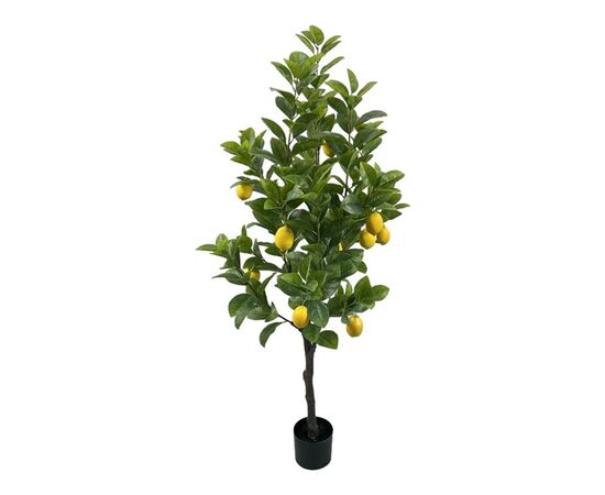 Διακοσμητικό φυτό Lemon tree σε γλάστρα Inart πράσινο pp Υ150εκ - ΤΕΧΝΗΤΑ ΦΥΤΑ στο Milonadakis.gr