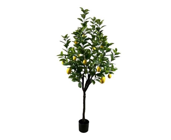 Διακοσμητικό φυτό Lemon tree σε γλάστρα Inart πράσινο pp Υ180εκ - ΤΕΧΝΗΤΑ ΦΥΤΑ στο Milonadakis.gr