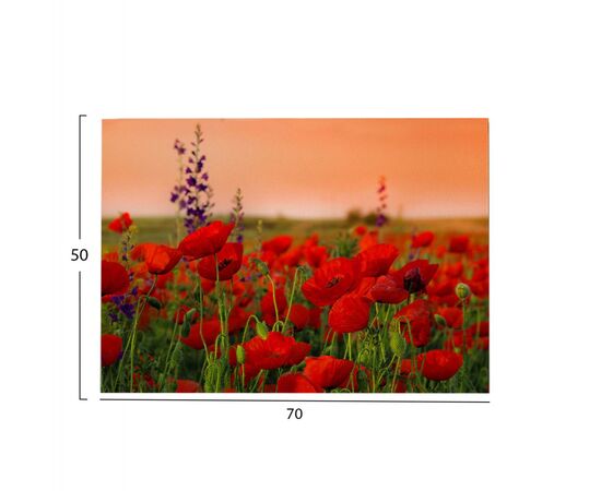 ΠΙΝΑΚΑΣ TOIXOY ΣΕΙΡΑ GOBI HM4760 ΕΚΤΥΠΩΜΕΝΟΣ ΚΑΜΒΑΣ 70x3(πάχος)x50Υεκ. - ΠΙΝΑΚΕΣ στο Milonadakis.gr
