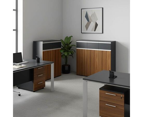 Ντουλάπια γραφείου επαγγελματικά Oscar pakoworld καρυδί-ανθρακί 200x40x120εκ - ΝΤΟΥΛΑΠΙΑ στο Milonadakis.gr