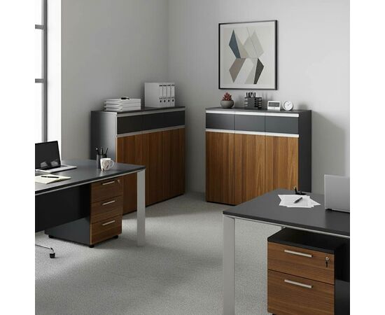 Ντουλάπια γραφείου επαγγελματικά Oscar pakoworld καρυδί-ανθρακί 240x40x120εκ - ΝΤΟΥΛΑΠΙΑ στο Milonadakis.gr