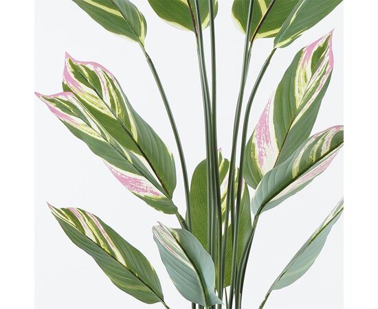 Διακοσμητικό φυτό σε γλάστρα Aglaonema Inart πράσινο Φ80x150εκ - ΤΕΧΝΗΤΑ ΦΥΤΑ στο Milonadakis.gr