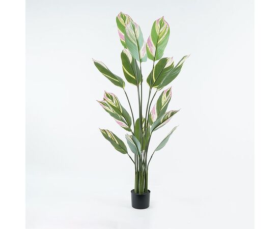 Διακοσμητικό φυτό σε γλάστρα Aglaonema Inart πράσινο Φ80x150εκ - ΤΕΧΝΗΤΑ ΦΥΤΑ στο Milonadakis.gr