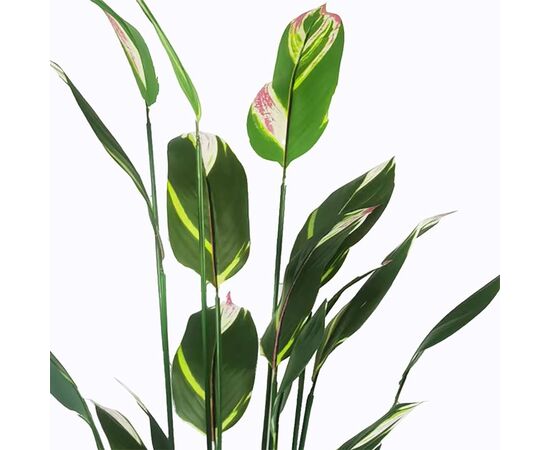 Διακοσμητικό φυτό σε γλάστρα Lucky I Inart πράσινο Φ80x210εκ - ΤΕΧΝΗΤΑ ΦΥΤΑ στο Milonadakis.gr