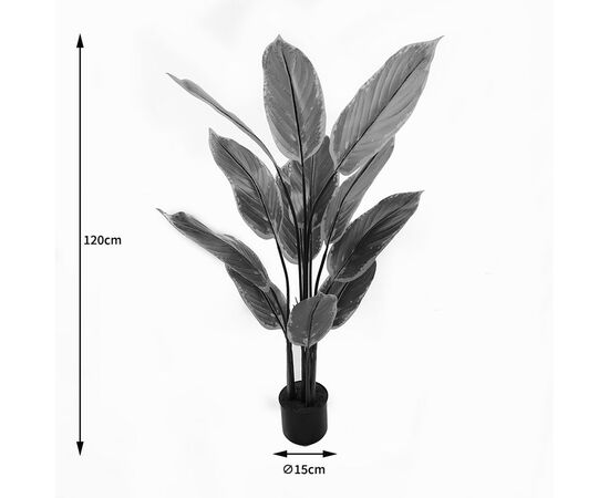 Διακοσμητικό φυτό σε γλάστρα Calathea Inart πράσινο Φ68x120εκ - ΤΕΧΝΗΤΑ ΦΥΤΑ στο Milonadakis.gr