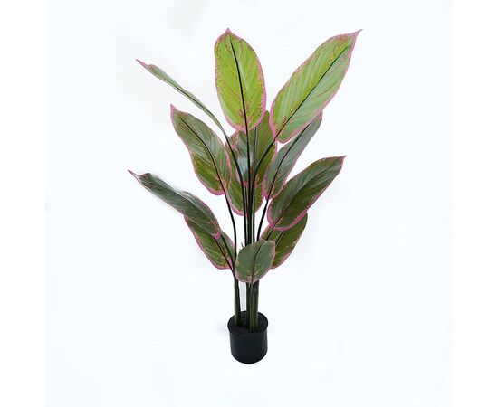 Διακοσμητικό φυτό σε γλάστρα Calathea Inart πράσινο Φ68x120εκ - ΤΕΧΝΗΤΑ ΦΥΤΑ στο Milonadakis.gr