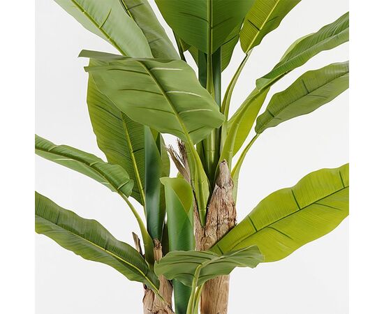 Διακοσμητικό φυτό σε γλάστρα Banana Tree Inart πράσινο Φ53x190εκ - ΤΕΧΝΗΤΑ ΦΥΤΑ στο Milonadakis.gr