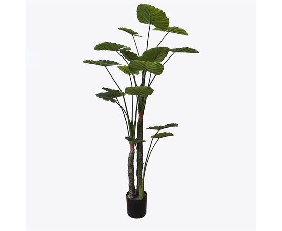 Διακοσμητικό φυτό σε γλάστρα Taro Plant Inart πράσινο Φ90x180εκ - ΤΕΧΝΗΤΑ ΦΥΤΑ στο Milonadakis.gr