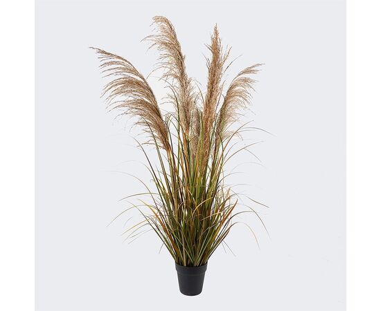 Διακοσμητικό φυτό σε γλάστρα Bulrush Inart  Φ65x120εκ - ΤΕΧΝΗΤΑ ΦΥΤΑ στο Milonadakis.gr