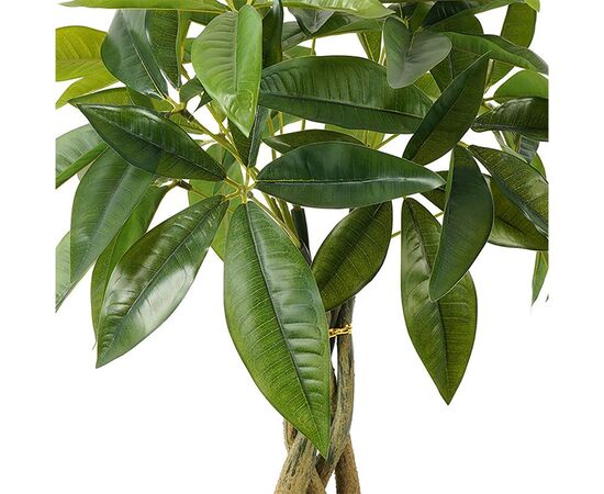 Διακοσμητικό φυτό σε γλάστρα Pachira Inart πράσινο Φ40x60εκ - ΤΕΧΝΗΤΑ ΦΥΤΑ στο Milonadakis.gr