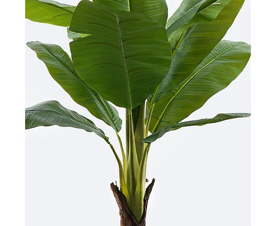 Διακοσμητικό φυτό σε γλάστρα Musa Inart πράσινο Φ105x180εκ - ΤΕΧΝΗΤΑ ΦΥΤΑ στο Milonadakis.gr