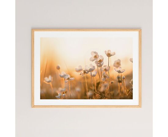 Πίνακας Floraza pakoworld με ψηφιακή εκτύπωση και πλαίσιο 48x1.5x33εκ - ΠΙΝΑΚΕΣ στο Milonadakis.gr