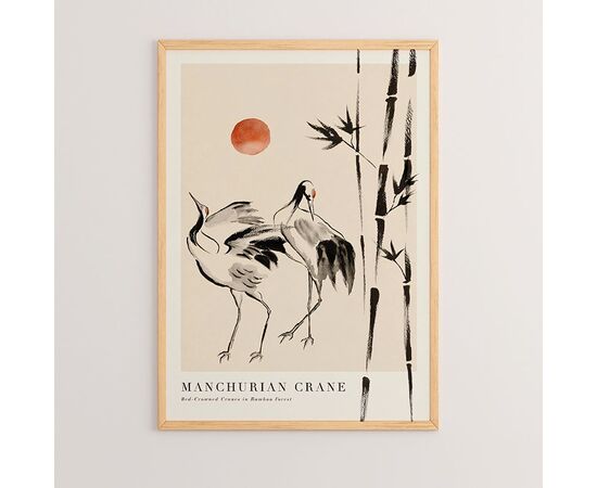 Πίνακας Birdo pakoworld με ψηφιακή εκτύπωση και πλαίσιο 33x1.5x48εκ - ΠΙΝΑΚΕΣ στο Milonadakis.gr