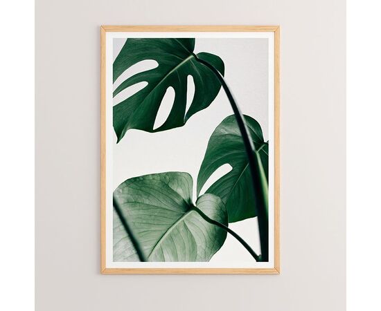 Πίνακας Leafy pakoworld με ψηφιακή εκτύπωση και πλαίσιο 33x1.5x48εκ - ΠΙΝΑΚΕΣ στο Milonadakis.gr