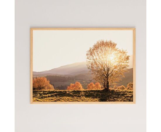 Πίνακας Vila pakoworld με ψηφιακή εκτύπωση και πλαίσιο 48x1.5x33εκ - ΠΙΝΑΚΕΣ στο Milonadakis.gr