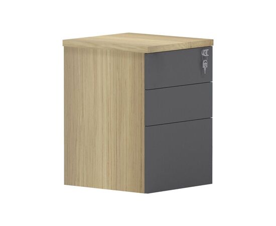 Συρταριέρα επαγγελματική τροχήλατη Lotus pakoworld 3ων συρταριών σε φυσική-ανθρακί απόχρωση 40x44x61εκ - ΣΥΡΤΑΡΙΕΡΕΣ στο Milonadakis.gr